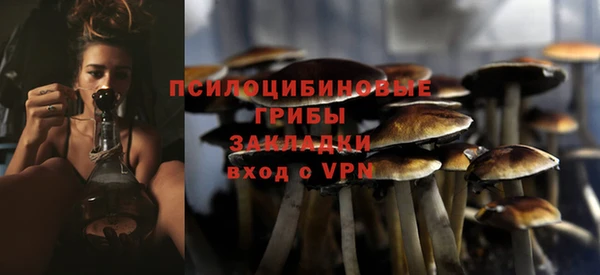 соль курить ск Приозерск