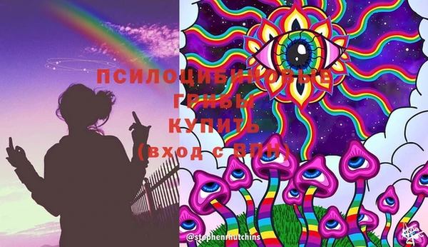стафф Пролетарск